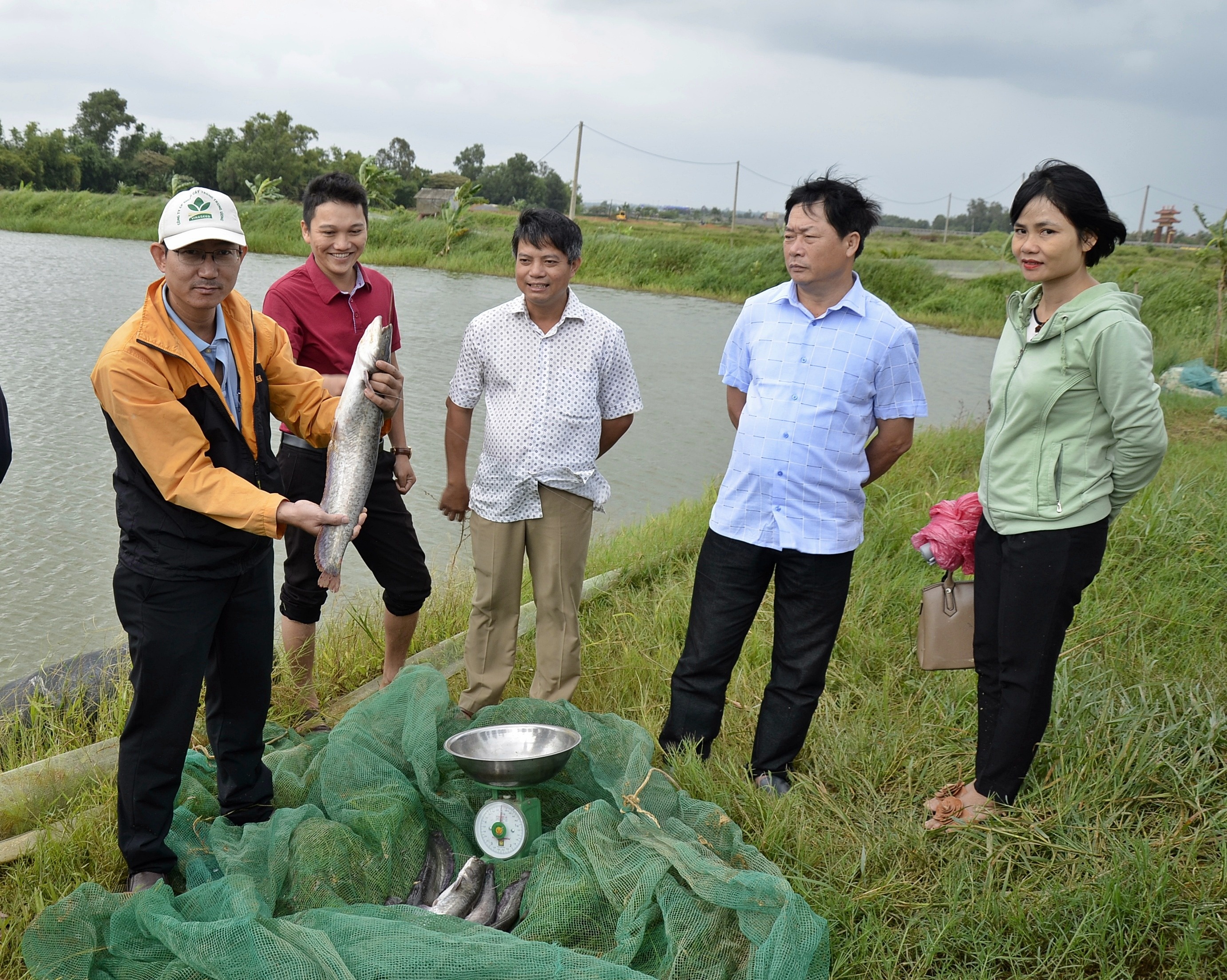 Nuôi cá leo ao đất